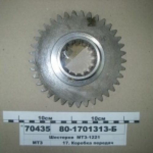 80-1701313-B